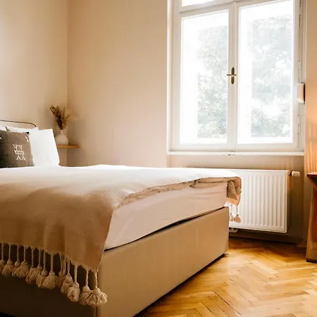 Apartment Altbau-traum Im Stadtzentrum - Free Parking
