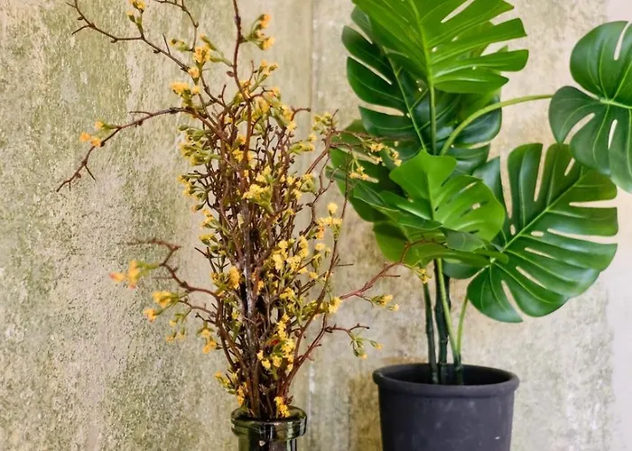 Historic Center Boutique - Free Parking - Schlossberg View - By Casa Momo 格拉茨